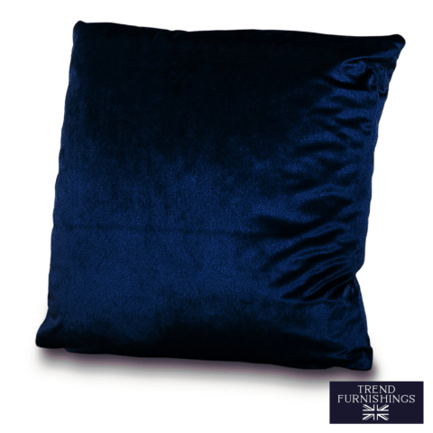 Velvet Belissimo Cushion- Blue image 0