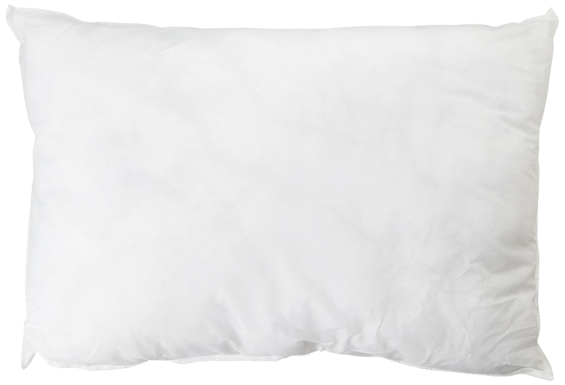 Hollow Fibre Cushion Pads 12" x 20" image 0